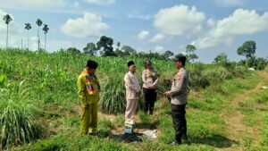 Polsek Tambusai Kawal Produktivitas Petani, Dukung Ketahanan Pangan Nasional